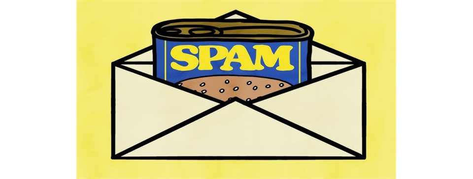 Please Check your Spam or Junk Mail Folder
